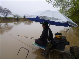 P1000584.jpg