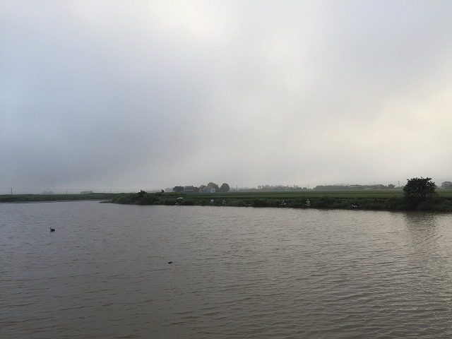 IMG_07122015.sada.jpg