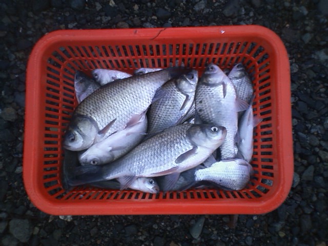2011tsukigata02.jpg